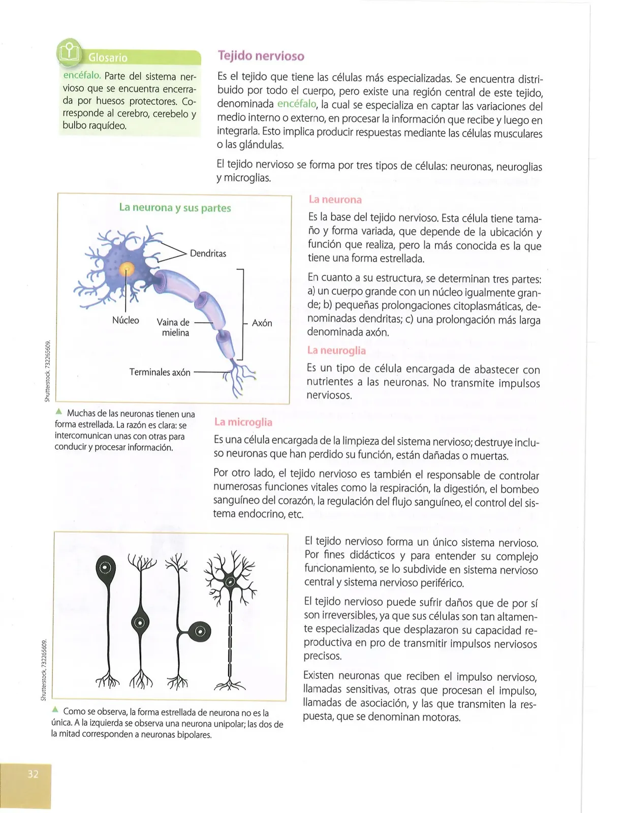 Página 29 de Ciencias Naturales · 10 EGB · 2024