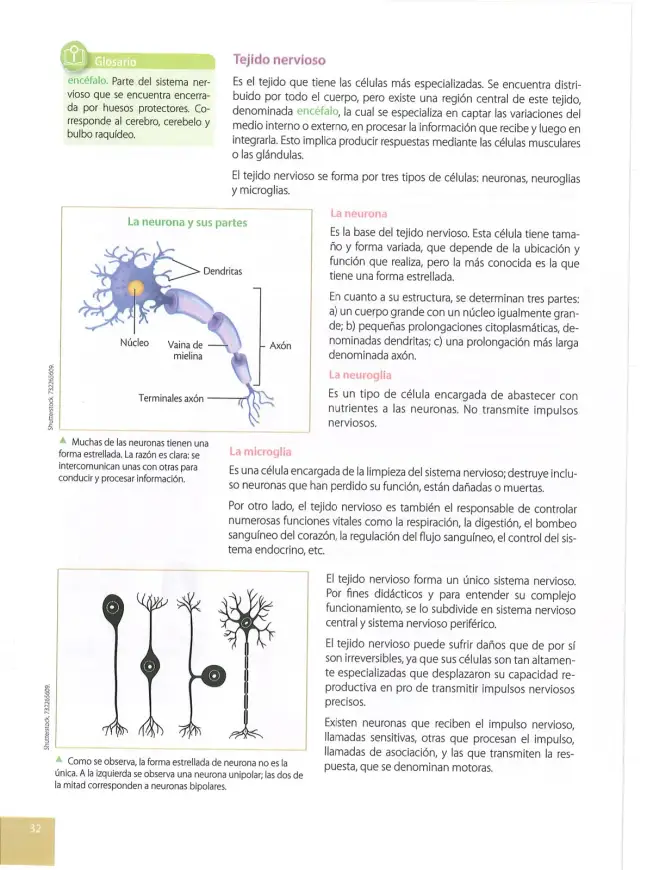 Página 29 de Ciencias Naturales 10° · 2025