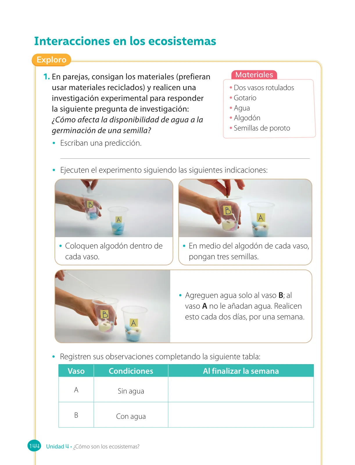 Miniatura página 146 de Ciencias Naturales – Cuarto Básico | Texto del Estudiante MINEDUC – Descargar PDF · 2024