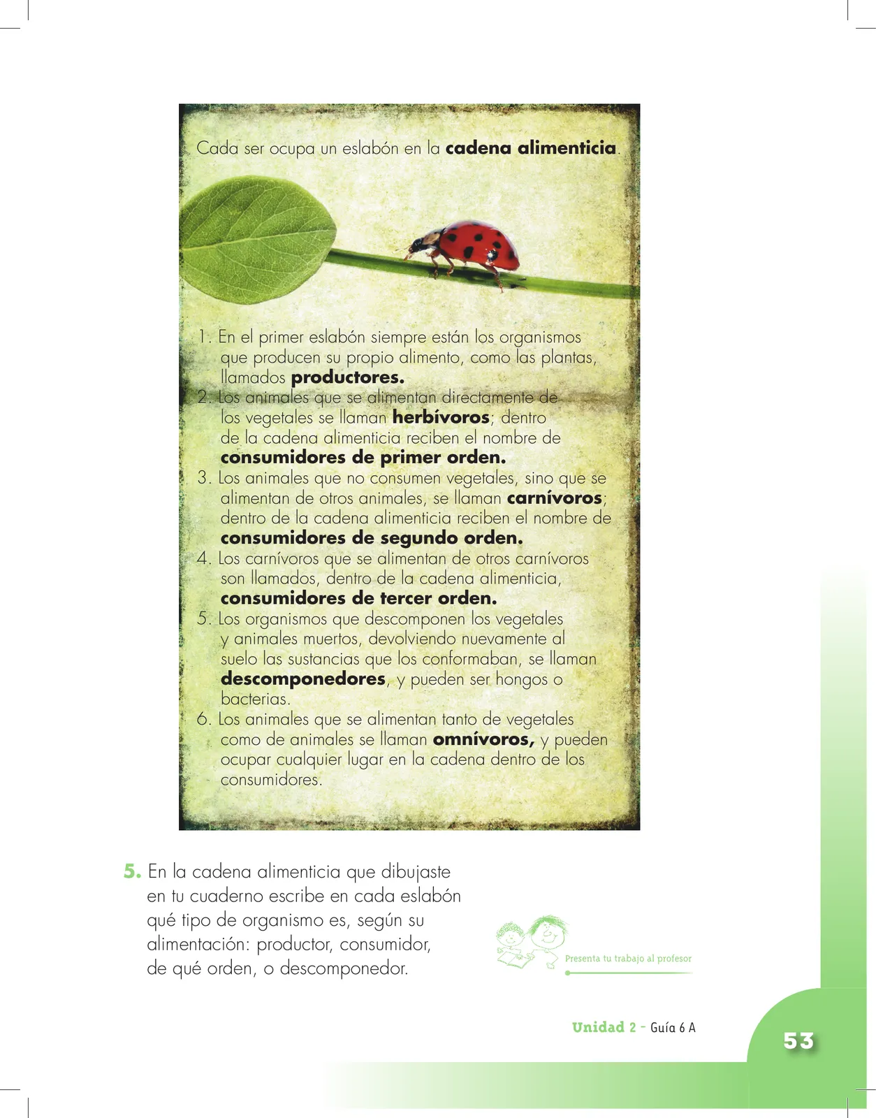 Miniatura página 53 de Ciencias Naturales 3° · Cartilla 01