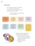 Miniatura página 33 de Proyectos Escolares.   Libro de Educación Primaria Grado 2°  Ciclo Escolar 2025 - 2026