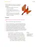 Miniatura página 150 de Proyectos Comunitarios.   Libro de Educación Primaria Grado 5°  Ciclo Escolar 2025 - 2026