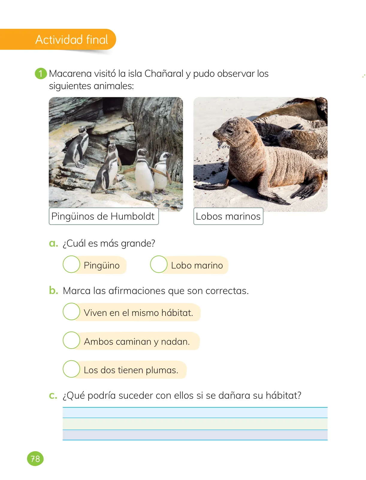 Página 80 de Ciencias Naturales – Primero Básico | Texto del Estudiante (MINEDUC) – Descargar PDF · 2024