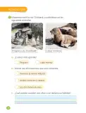 Miniatura página 80 de Ciencias Naturales – Primero Básico | Texto del Estudiante (MINEDUC) – Descargar PDF · 2024