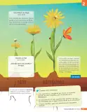 Miniatura página 222 de Libro de Ciencias Naturales – Quinto Básico | Texto del Estudiante MINEDUC – Descargar PDF · 2024