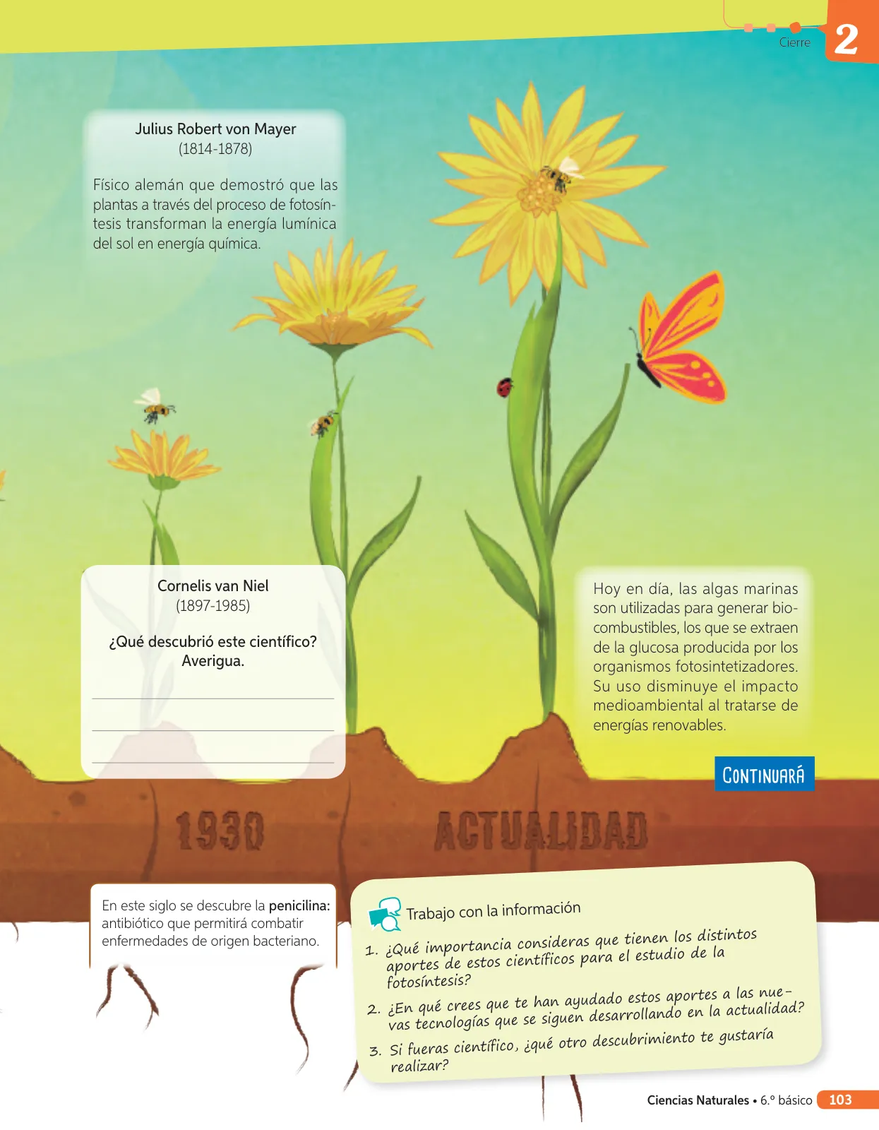 Miniatura página 222 de Libro de Ciencias Naturales – Quinto Básico | Texto del Estudiante MINEDUC – Descargar PDF · 2024
