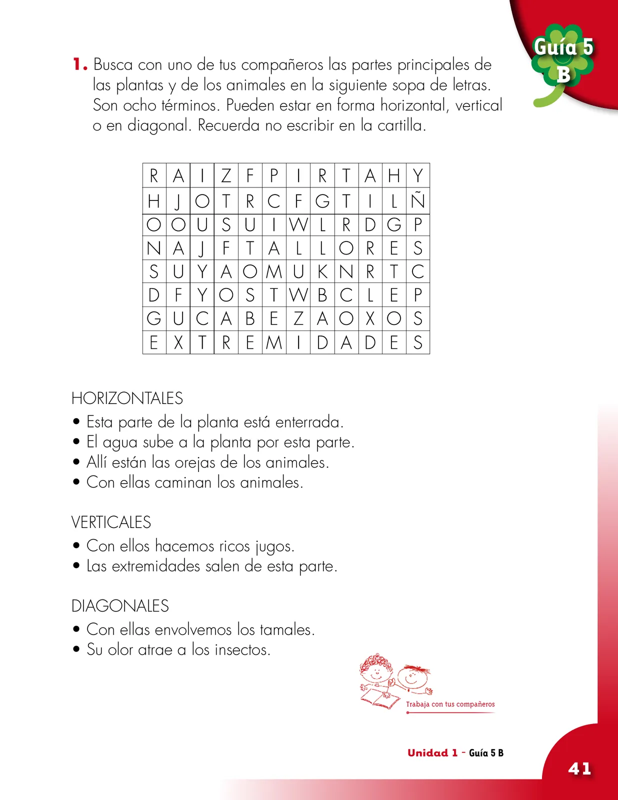 Pág 41