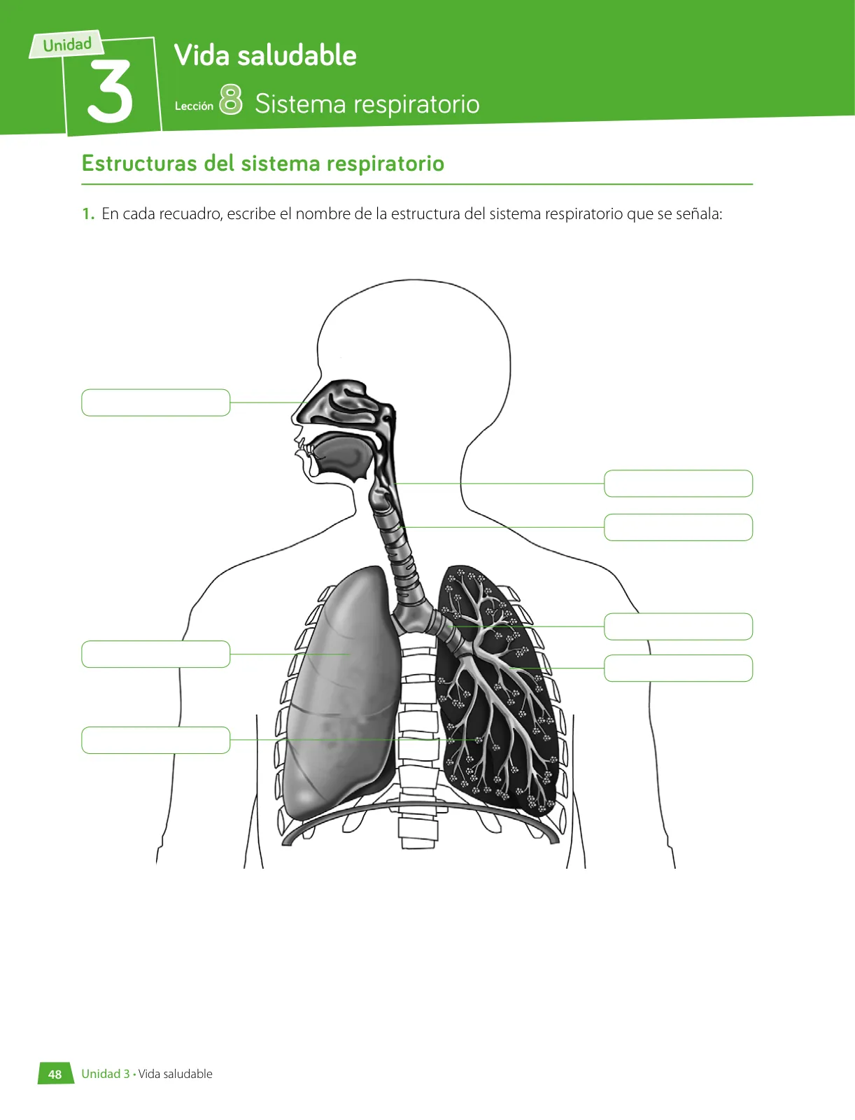 Miniatura página 49 de Libro de Ciencias Naturales – Quinto Básico | Texto del Estudiante MINEDUC – Descargar PDF · 2024