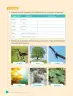 Miniatura página 174 de Ciencias Naturales – Cuarto Básico | Texto del Estudiante MINEDUC – Descargar PDF · 2024