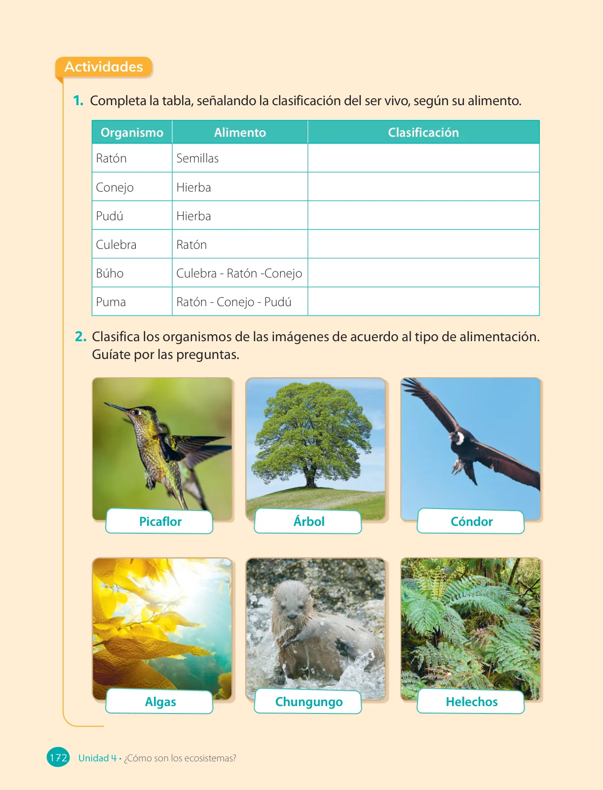Miniatura página 174 de Ciencias Naturales – Cuarto Básico | Texto del Estudiante MINEDUC – Descargar PDF · 2024