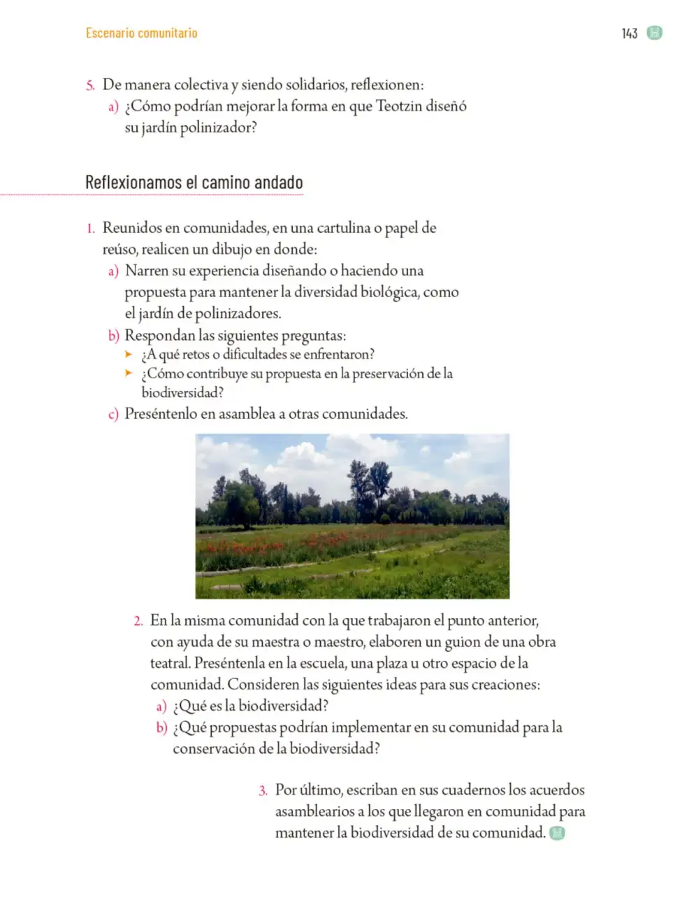 Página 146