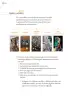 Miniatura página 73 de Proyectos Comunitarios.   Libro de Educación Primaria Grado 6°  Ciclo Escolar 2025 - 2026
