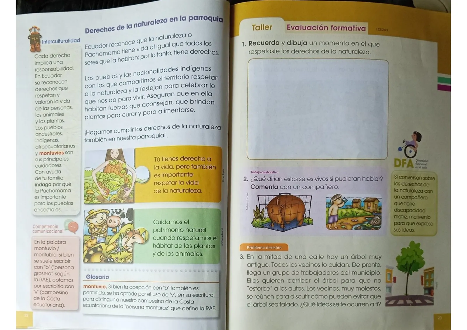 Página 11