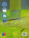 Miniatura página 106 de Ciencias Naturales – Primero Básico | Texto del Estudiante (MINEDUC) – Descargar PDF · 2024