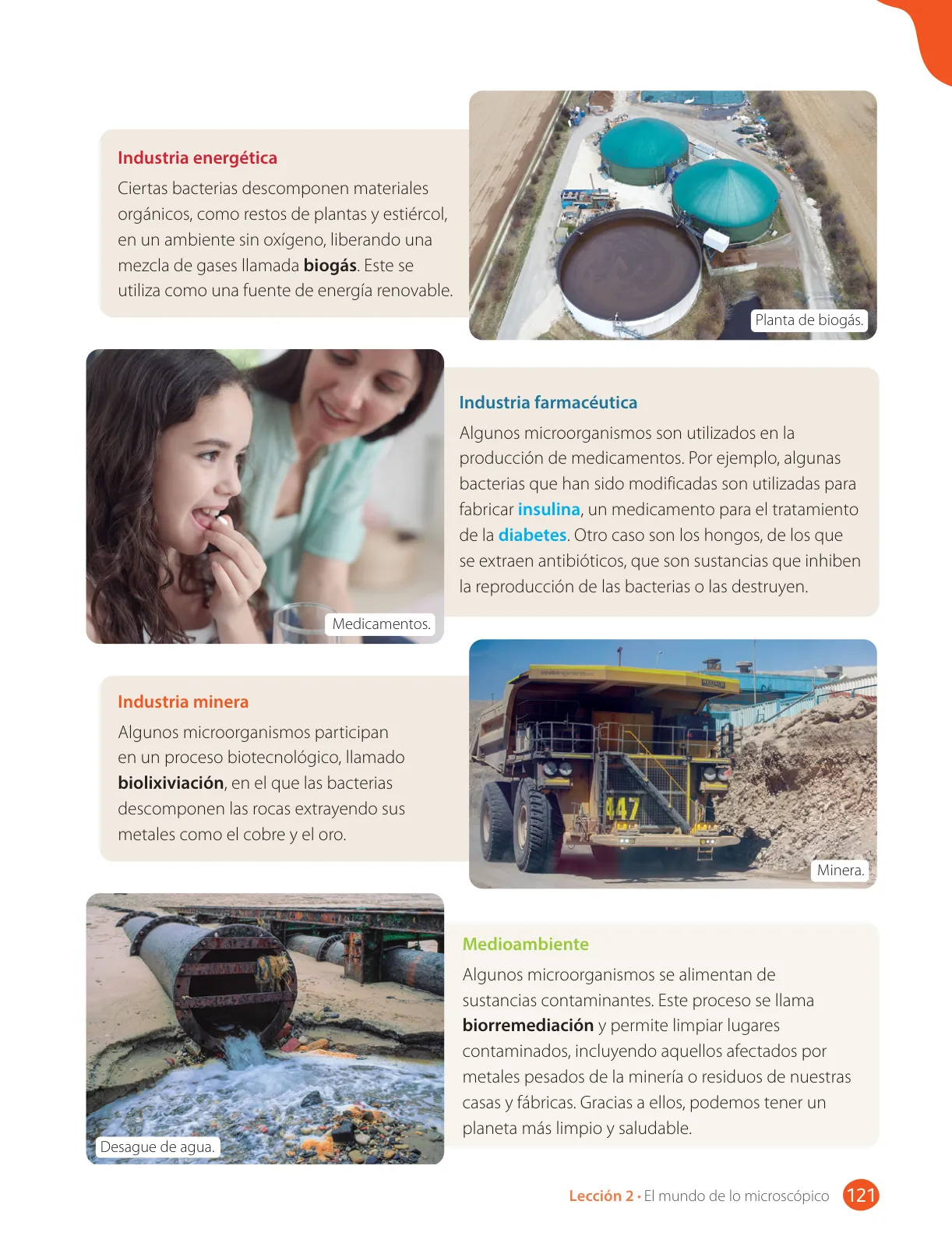 Página 123 de Libro de Ciencias Naturales – Quinto Básico | Texto del Estudiante MINEDUC – Descargar PDF · 2024