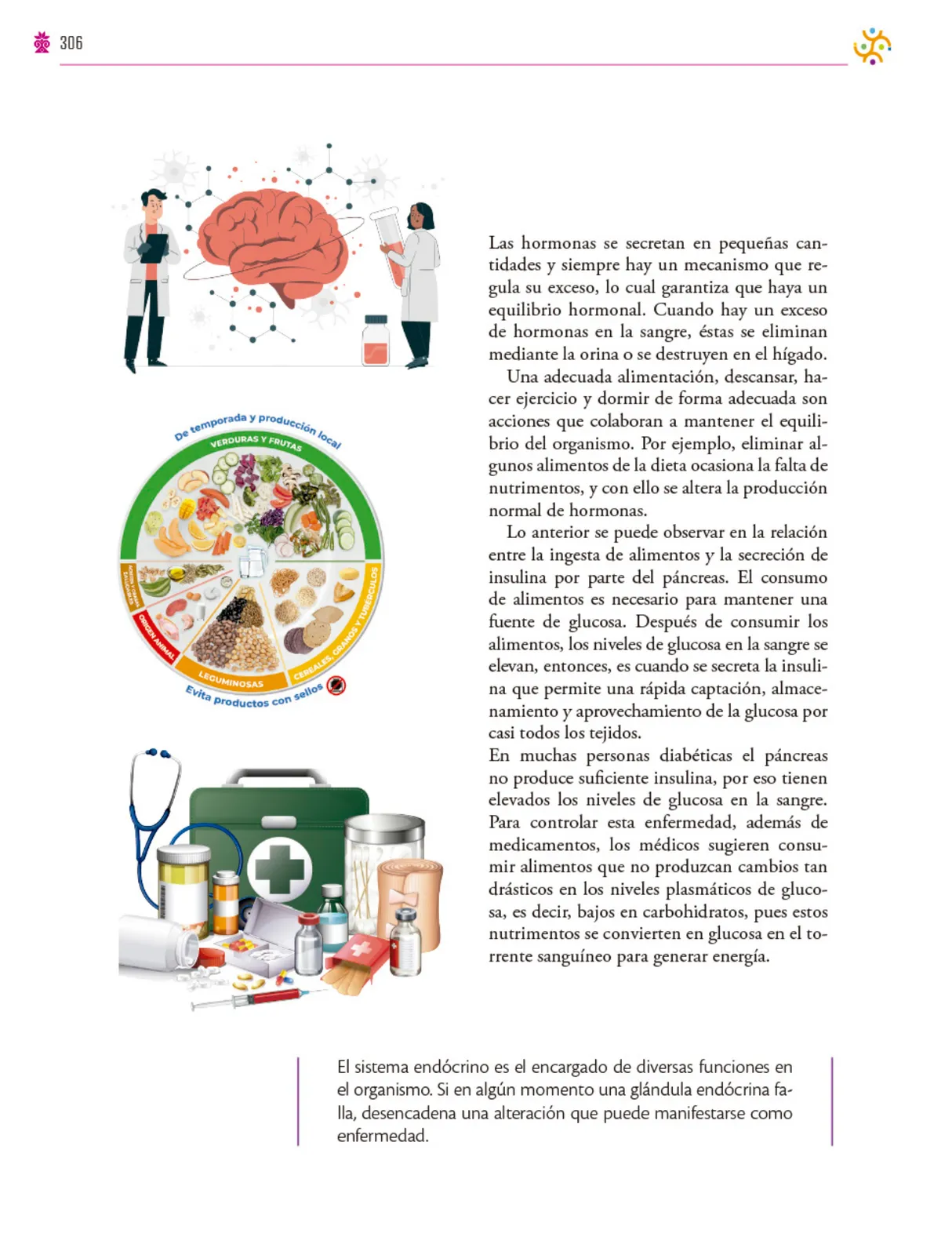 Página 307 de Colección Ximhai. Saberes y pensamiento científico. Libro de Educación Secundaria Grado 1° Ciclo Escolar 2025 - 2026