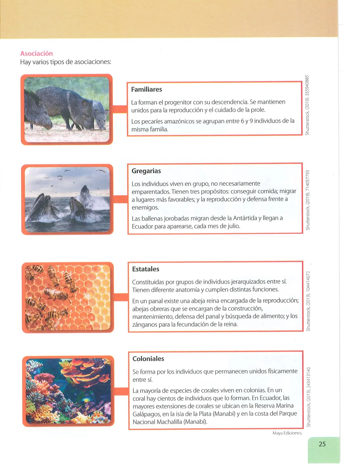 Página 24 de Ciencias Naturales · 7 EGB · 2024