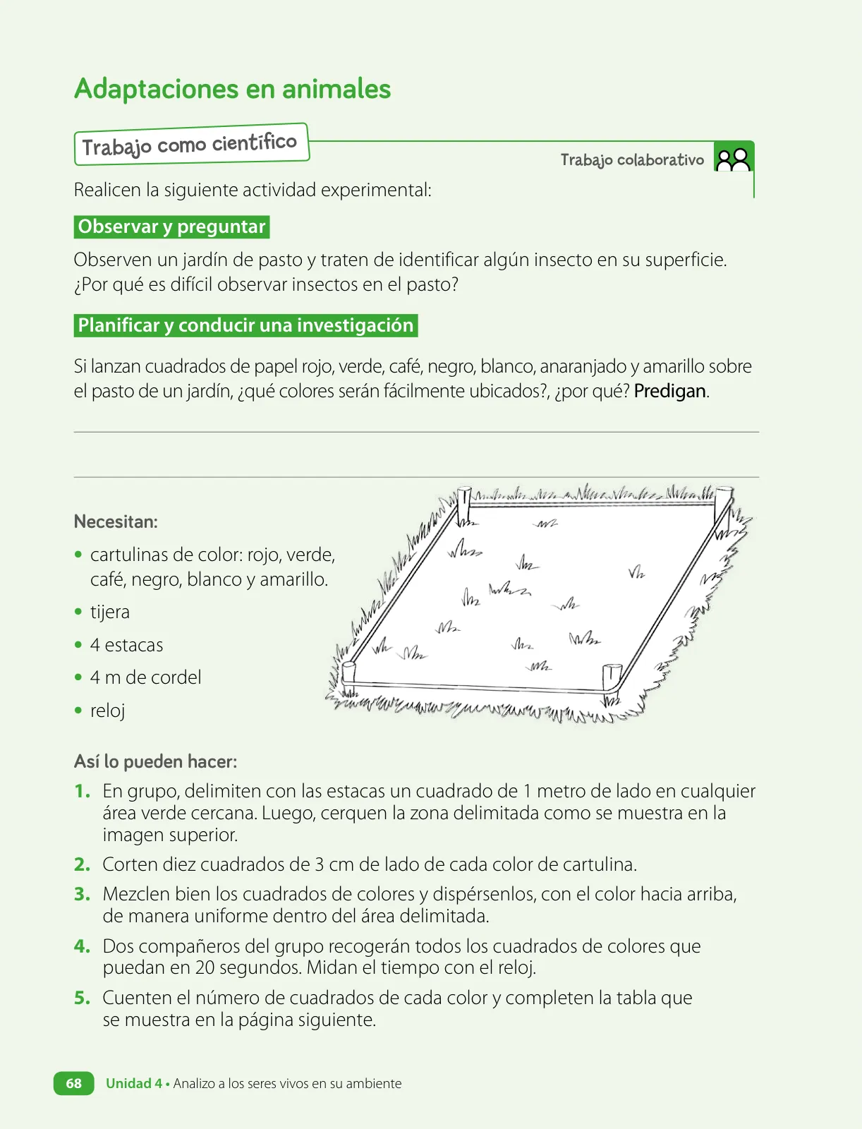 Miniatura página 70 de Ciencias Naturales – Cuarto Básico | Texto del Estudiante MINEDUC – Descargar PDF · 2024