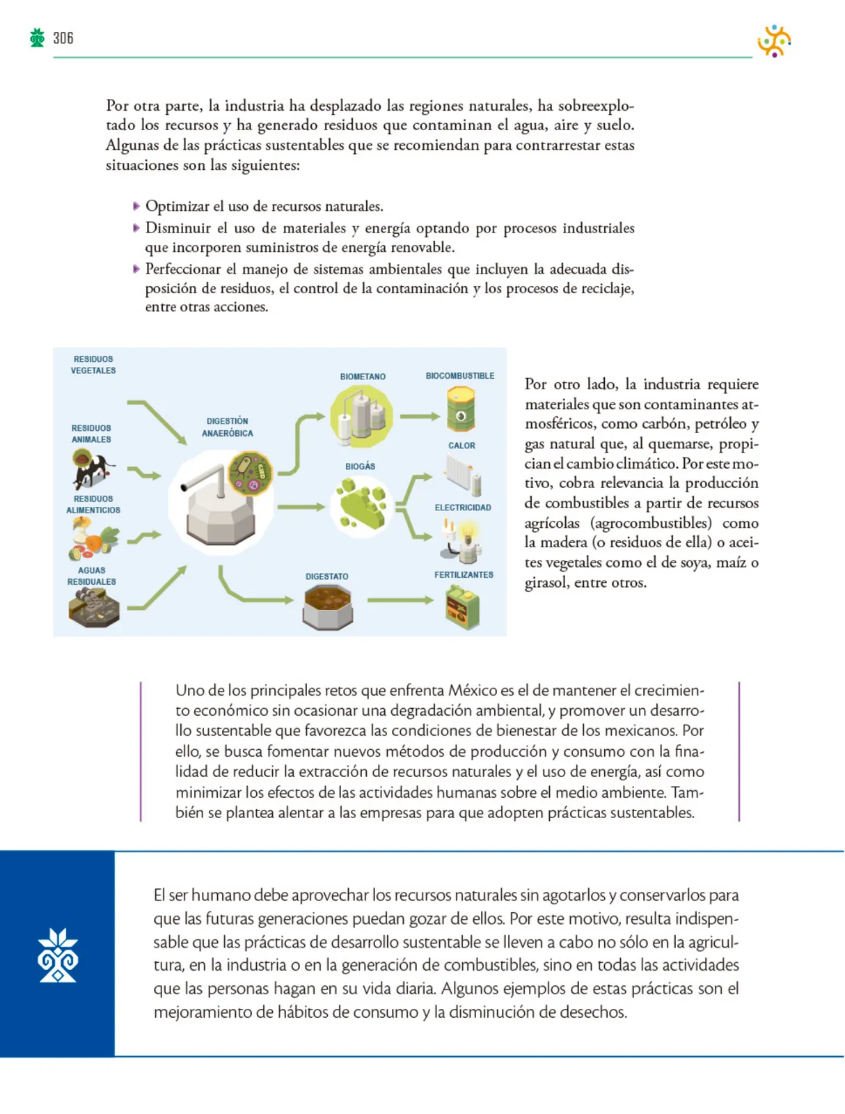 Página 307 de Colección Nanahuatzin. Saberes y pensamiento científico. Libro de Educación Telesecundaria Grado 3° Ciclo Escolar 2025 - 2026
