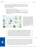 Miniatura página 307 de Colección Nanahuatzin. Saberes y pensamiento científico.   Libro de Educación Telesecundaria Grado 3°  Ciclo Escolar 2025 - 2026