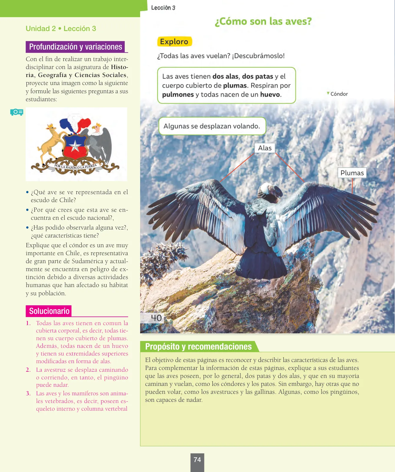Página 75 de Ciencias Naturales – Segundo Básico | Texto del Estudiante MINEDUC – Descargar PDF · 2024