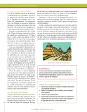 Miniatura página 218 de Ciencias Sociales 7° · Secundaria Activa