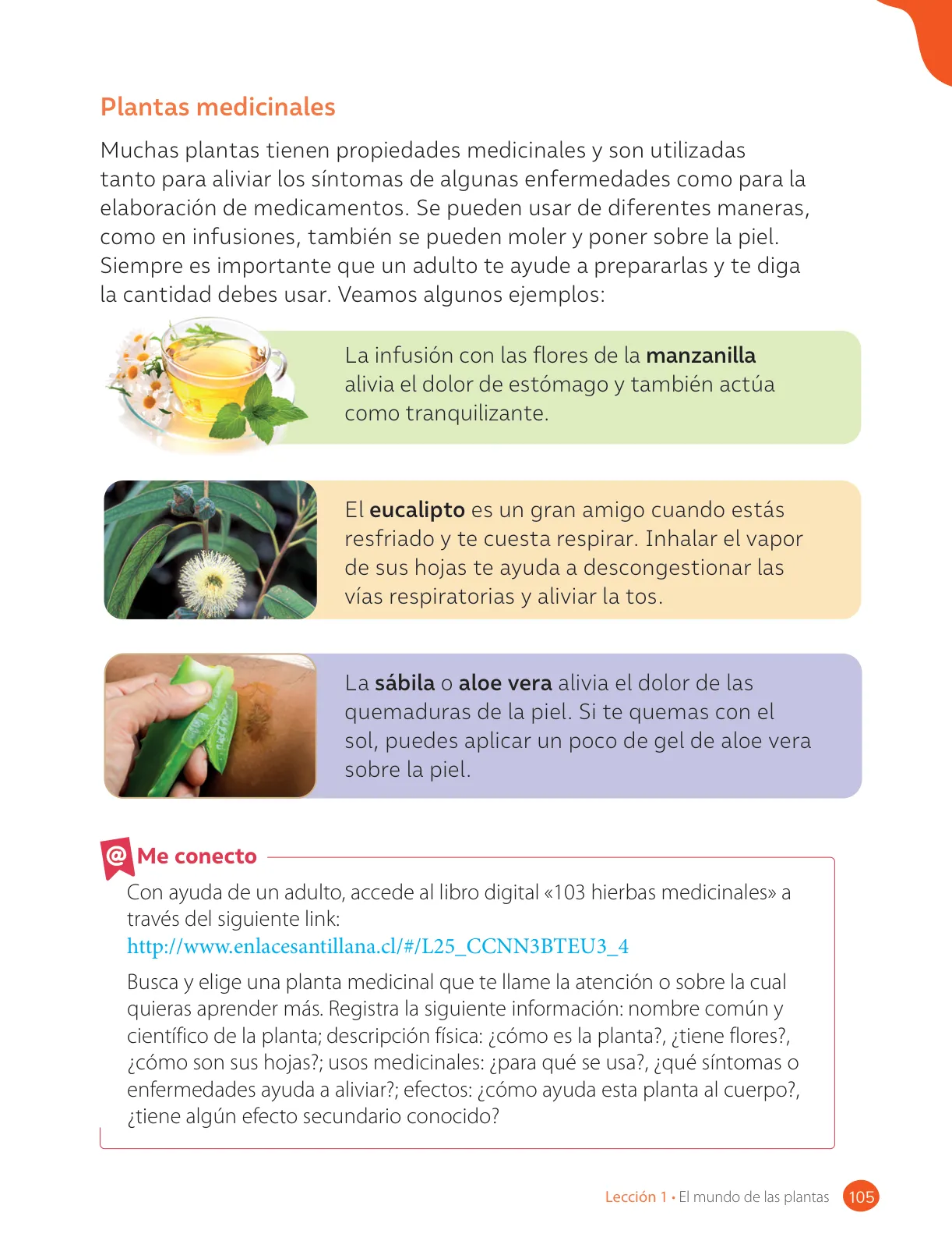 Página 107 de Ciencias Naturales – Tercero Básico | Texto del Estudiante MINEDUC – Descargar PDF · 2024