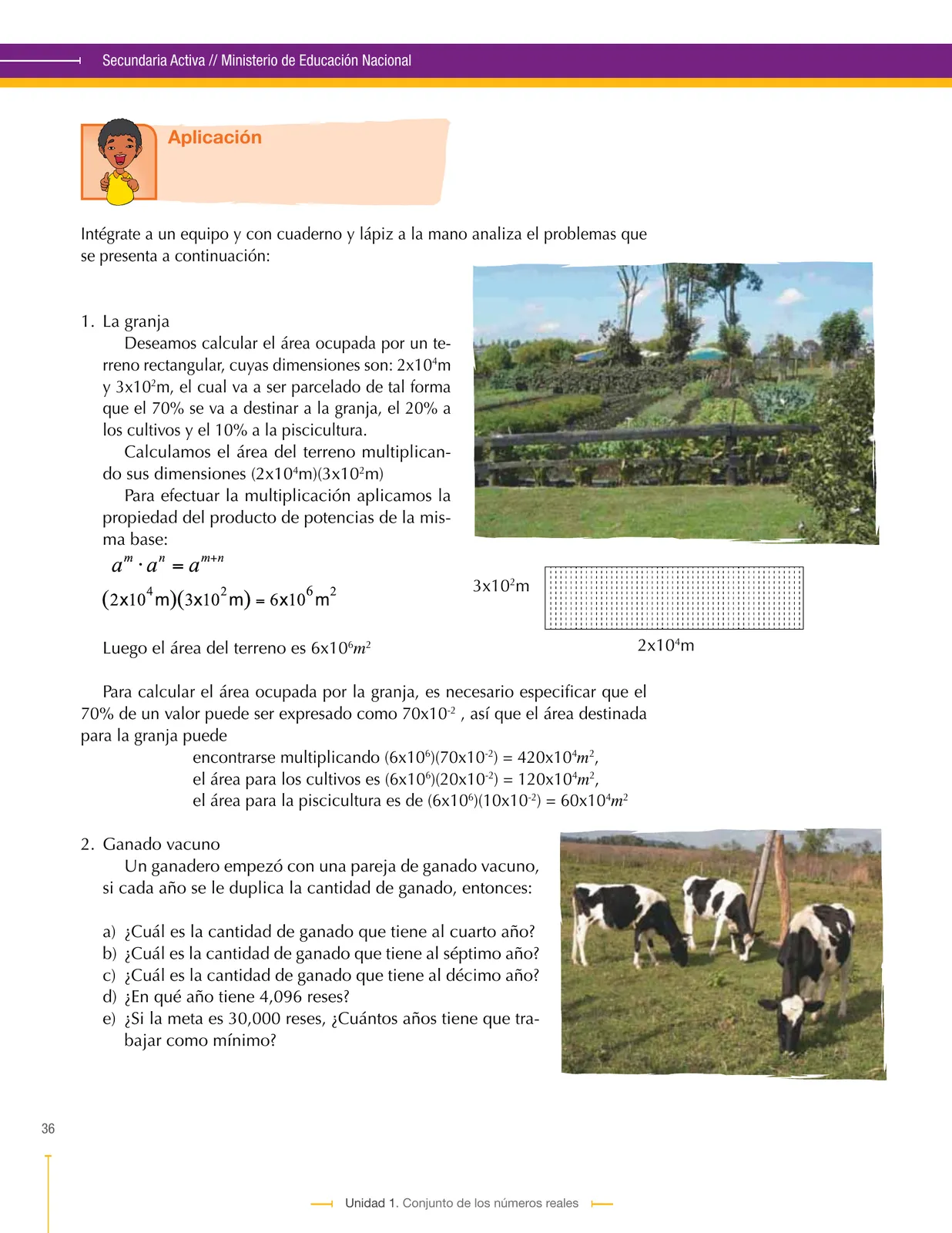 Página 36 de Matematica 9° · Secundaria Activa