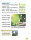 Miniatura página 230 de Estudios Sociales 10° · Egb 10 Estudios Sociales 2025 · 2025