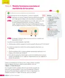 Miniatura página 115 de Ciencias Naturales – Tercero Básico | Texto del Estudiante MINEDUC – Descargar PDF · 2024