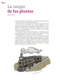 Miniatura página 149 de Colección Sk´asolil. Múltiples lenguajes.   Libro de Educación Secundaria Grado 2°  Ciclo Escolar 2025 - 2026