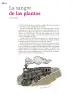 Miniatura página 149 de Colección Sk´asolil. Múltiples lenguajes.   Libro de Educación Secundaria Grado 2°  Ciclo Escolar 2025 - 2026