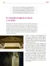 Miniatura página 226 de Colección Ximhai. Lenguajes.   Libro de Educación Secundaria Grado 1°  Ciclo Escolar 2025 - 2026