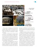 Miniatura página 52 de Nuestros saberes: México, grandeza y diversidad.   Libro de Educación Primaria Grado 4°  Ciclo Escolar 2025 - 2026