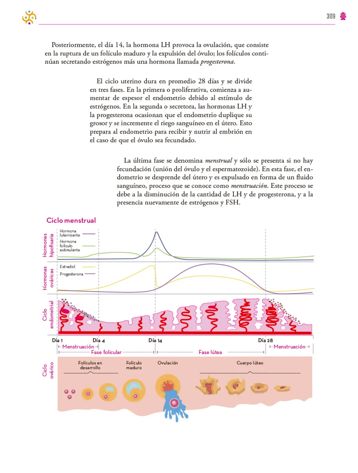 Página 310 de Colección Ximhai. Saberes y pensamiento científico. Libro de Educación Secundaria Grado 1° Ciclo Escolar 2025 - 2026