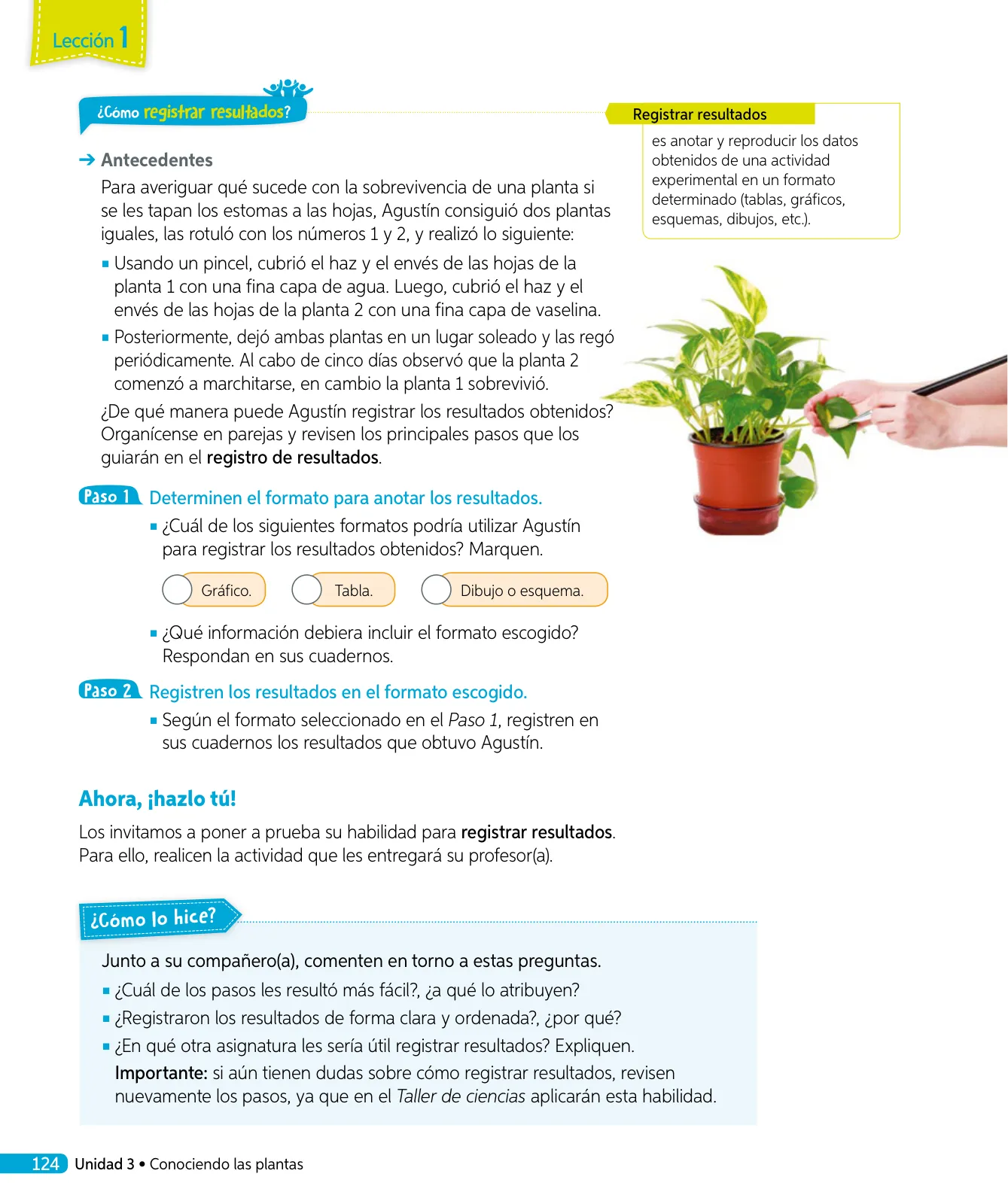 Miniatura página 59 de Ciencias Naturales – Tercero Básico | Texto del Estudiante MINEDUC – Descargar PDF · 2024
