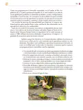 Miniatura página 306 de Colección Nanahuatzin. Saberes y pensamiento científico.   Libro de Educación Secundaria Grado 3°  Ciclo Escolar 2025 - 2026