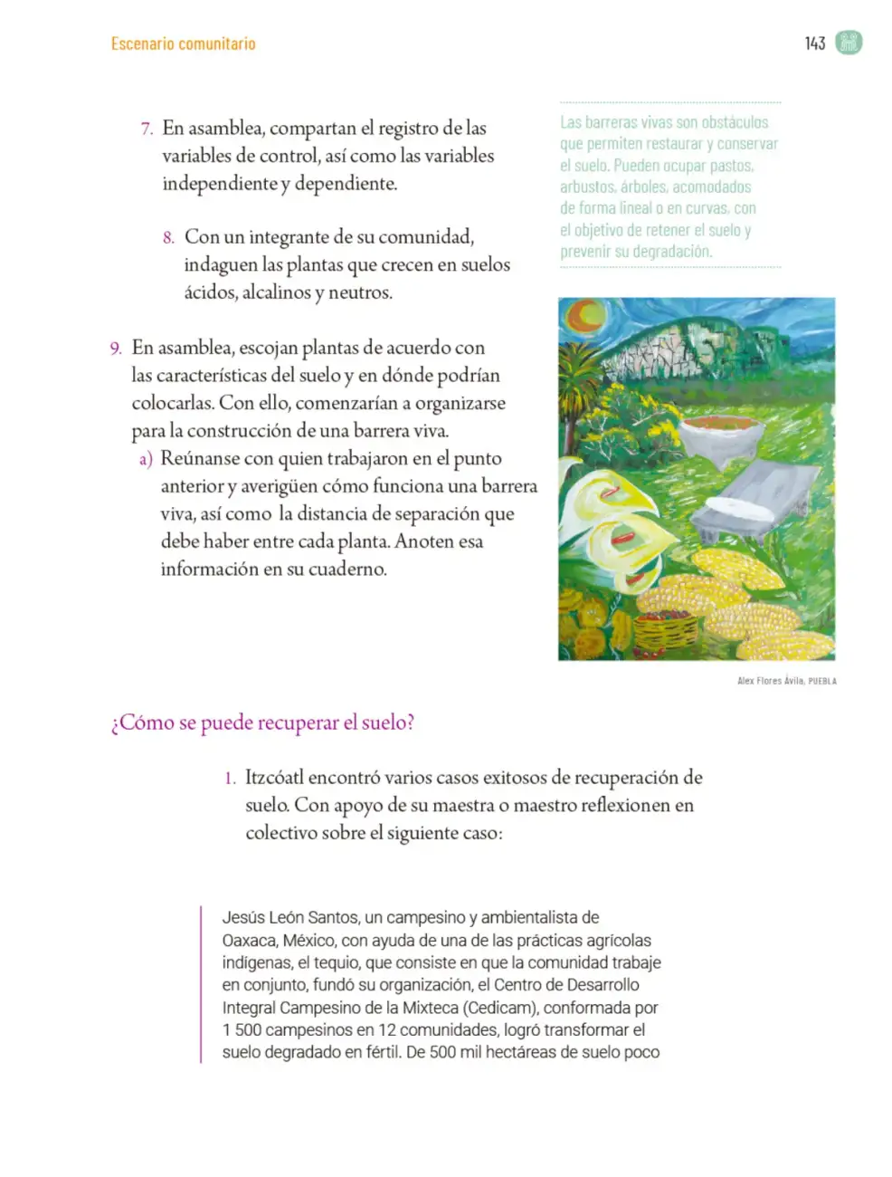 Página 146
