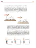 Miniatura página 319 de Colección Sk´asolil. Saberes y pensamiento científico.   Libro de Educación Secundaria Grado 2°  Ciclo Escolar 2025 - 2026