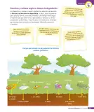 Miniatura página 162 de Ciencias Naturales – Tercero Básico | Texto del Estudiante MINEDUC – Descargar PDF · 2024