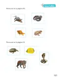 Miniatura página 102 de Ciencias Naturales – Segundo Básico | Texto del Estudiante MINEDUC – Descargar PDF · 2024
