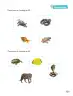 Miniatura página 102 de Ciencias Naturales – Segundo Básico | Texto del Estudiante MINEDUC – Descargar PDF · 2024