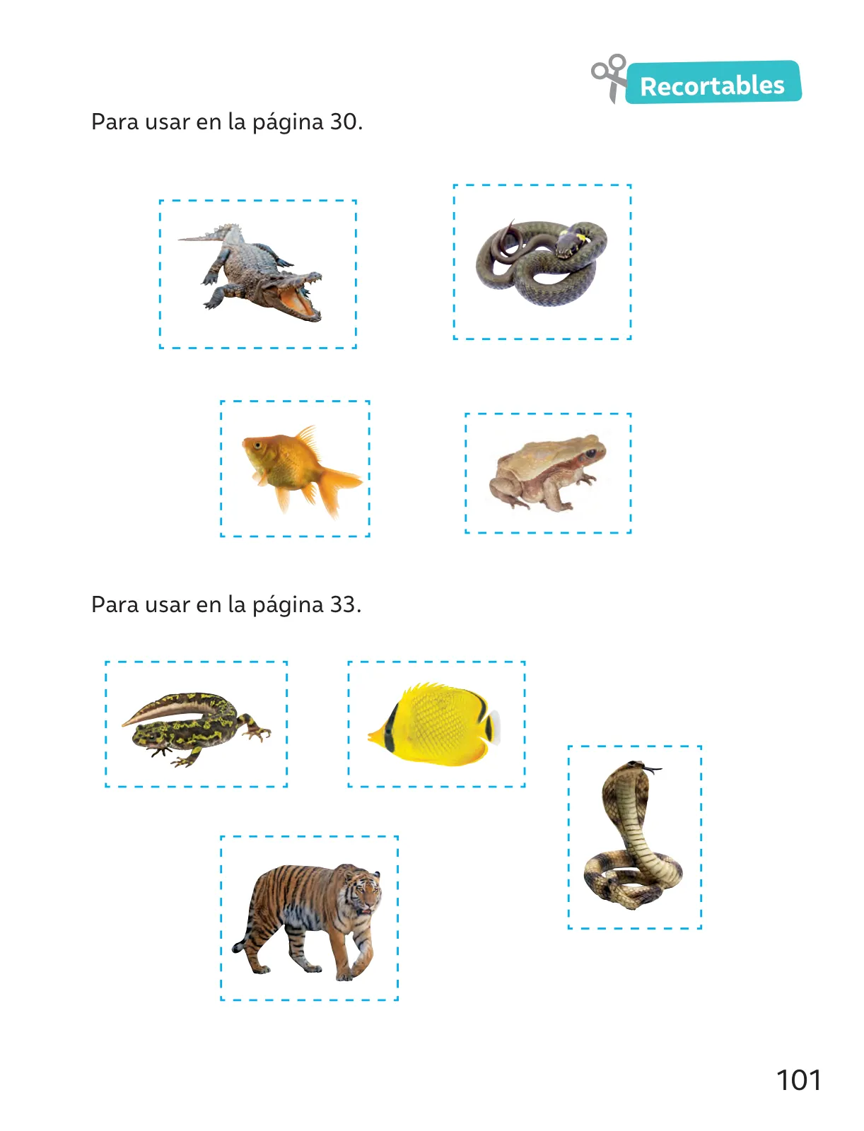 Página 102