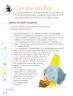Miniatura página 125 de Proyectos Comunitarios.   Libro de Educación Primaria Grado 1°  Ciclo Escolar 2025 - 2026