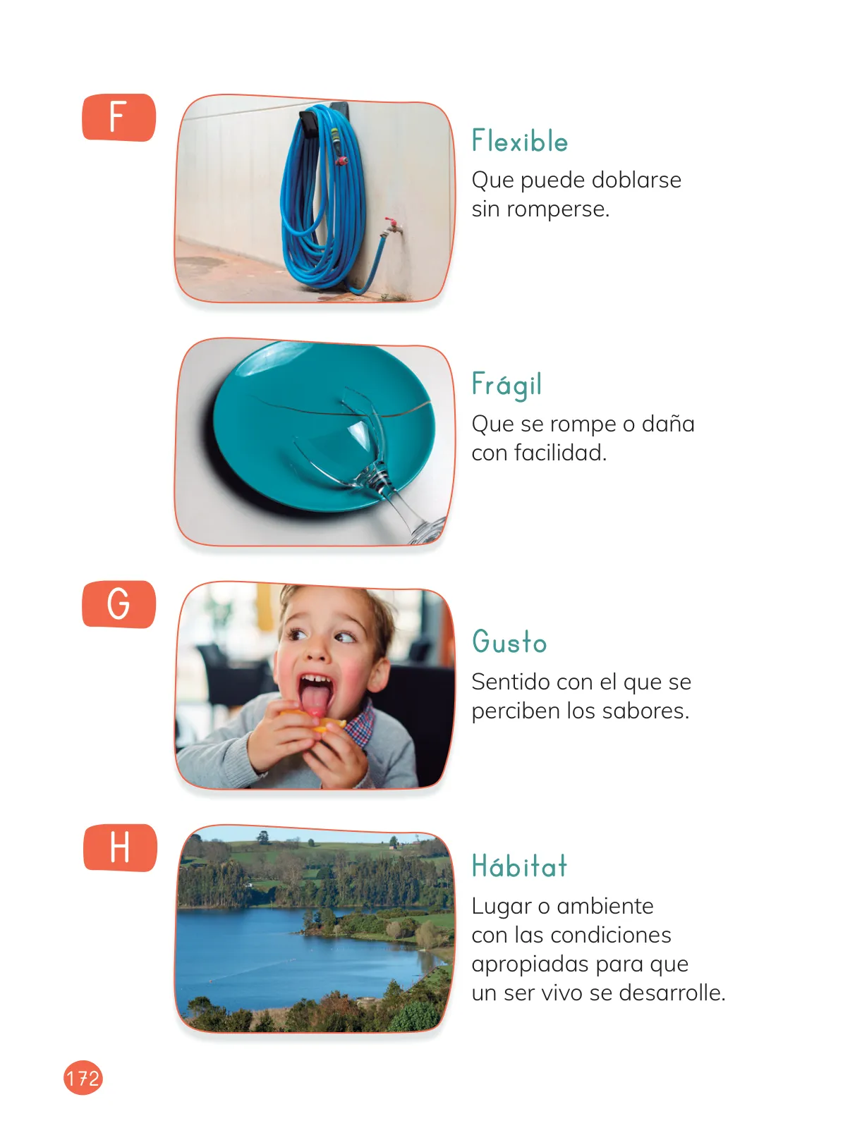 Página 174 de Ciencias Naturales – Primero Básico | Texto del Estudiante (MINEDUC) – Descargar PDF · 2024