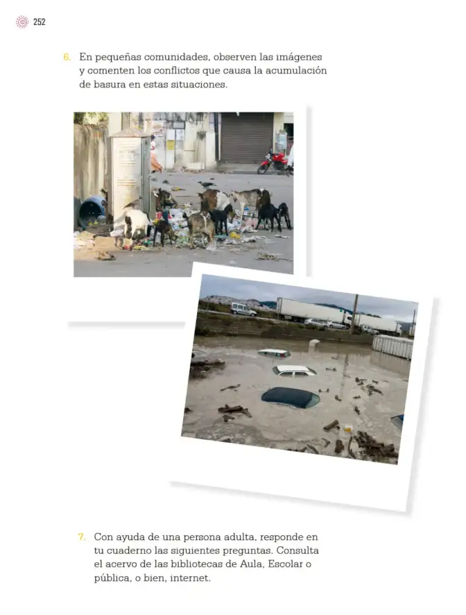 Página 255 de Proyectos de Aula. Libro de Educación Primaria Grado 3° Ciclo Escolar 2025 - 2026