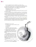 Miniatura página 99 de Colección Nanahuatzin. Múltiples lenguajes.   Libro de Educación Secundaria Grado 3°  Ciclo Escolar 2025 - 2026