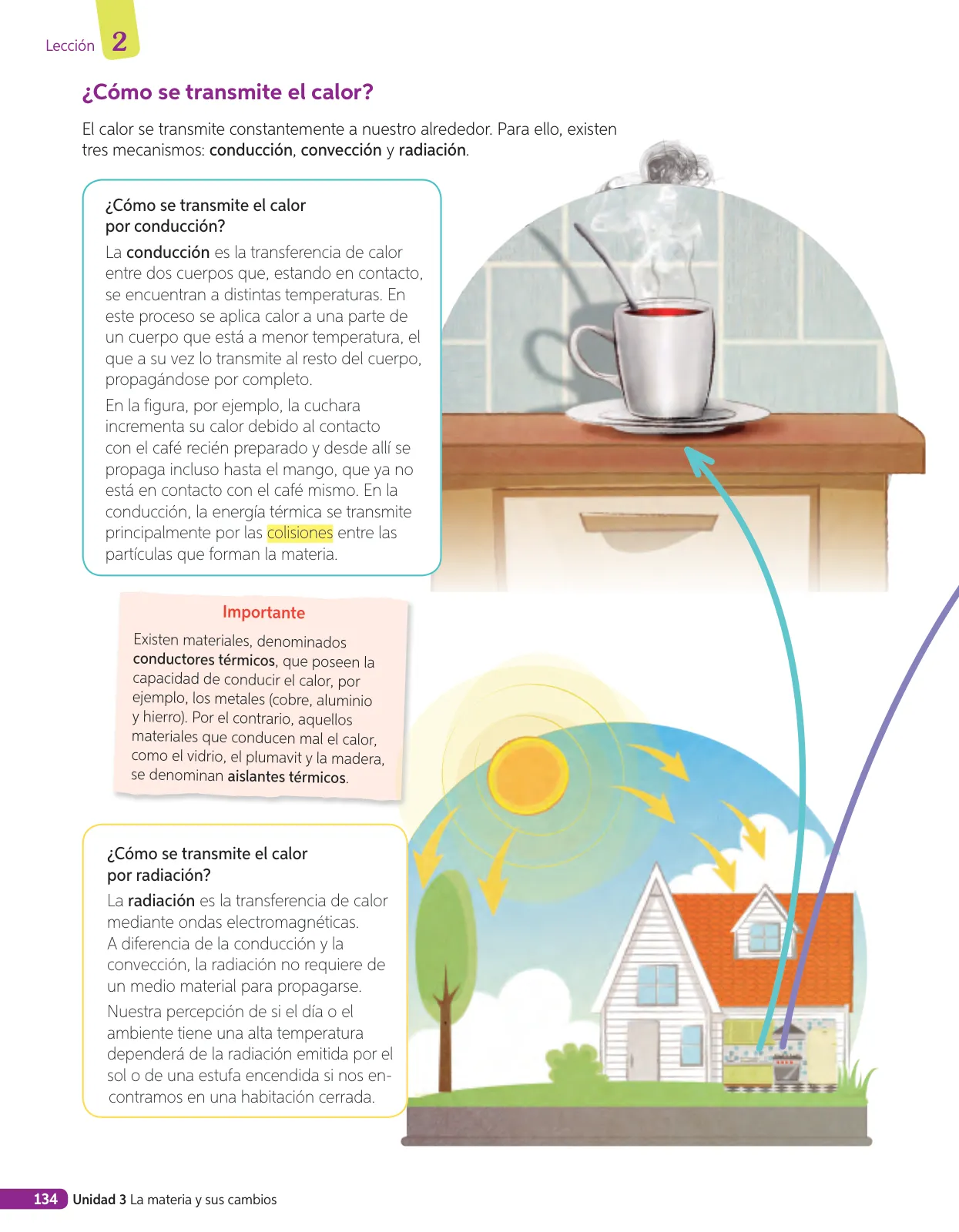 Miniatura página 297 de Libro de Ciencias Naturales – Quinto Básico | Texto del Estudiante MINEDUC – Descargar PDF · 2024