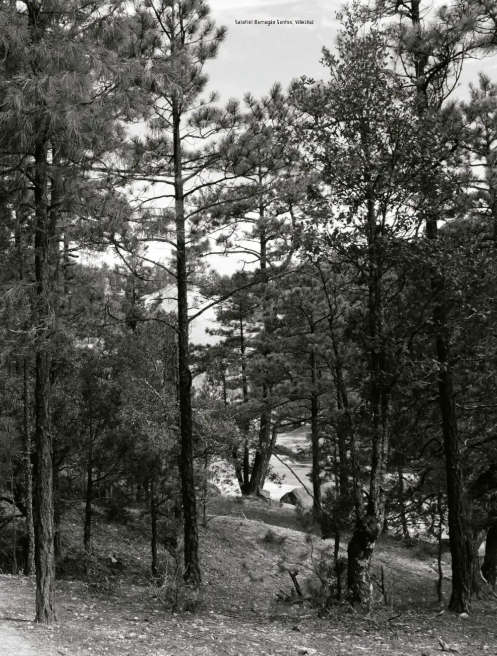 Página 190