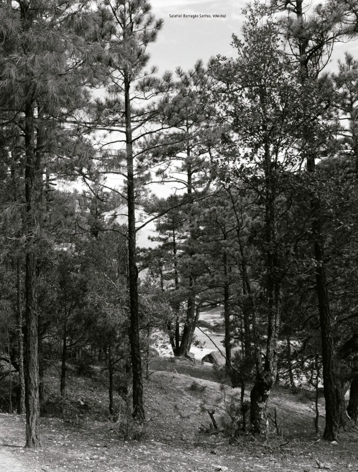 Miniatura página 190 de Nuestros saberes: Libro para alumnos, maestros y familia.   Libro de Educación Primaria Grado 2°  Ciclo Escolar 2025 - 2026